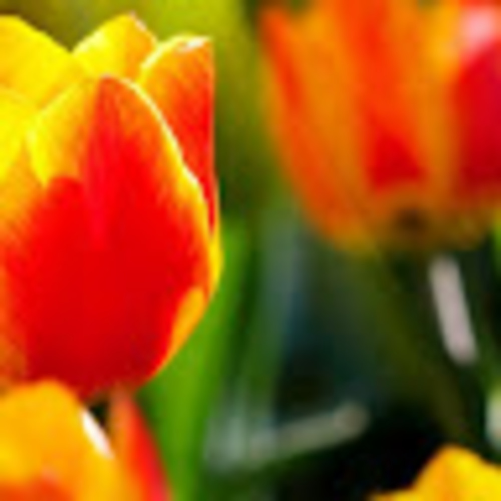 Meet your Posher, Caroline